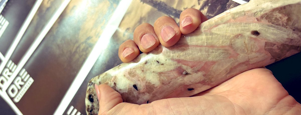 that stock chick tweet media