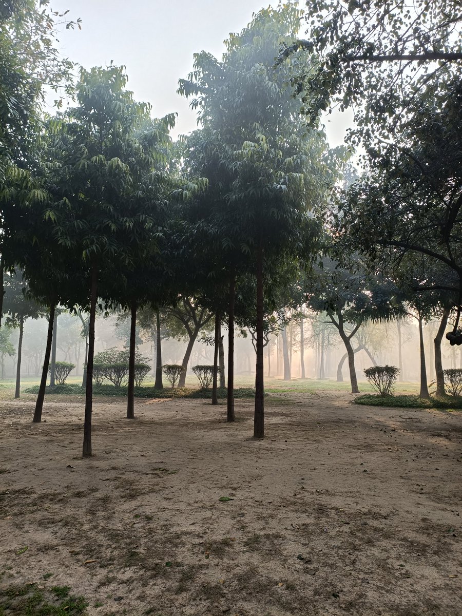 Entrem99's tweet photo. @BashKaboom Surprisingly, it was very cool with the morning dew, following the light rain yesterday. https://t.co/HqHWIusJaM