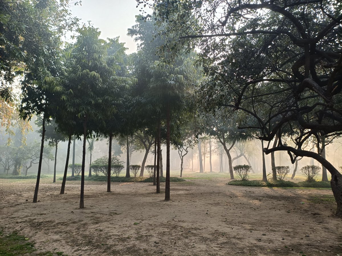 Entrem99's tweet photo. @BashKaboom Surprisingly, it was very cool with the morning dew, following the light rain yesterday. https://t.co/HqHWIusJaM