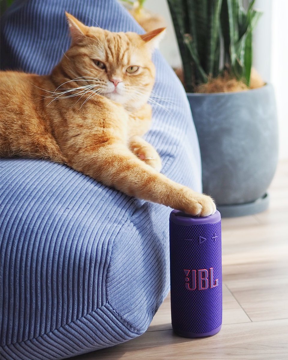 JBL JAPAN (@JBL_JAPAN) / Posts / X