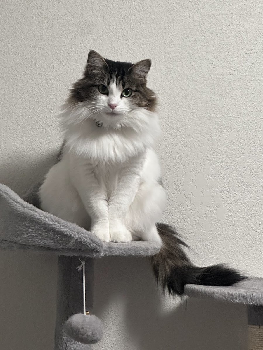 Adventureite tweet media