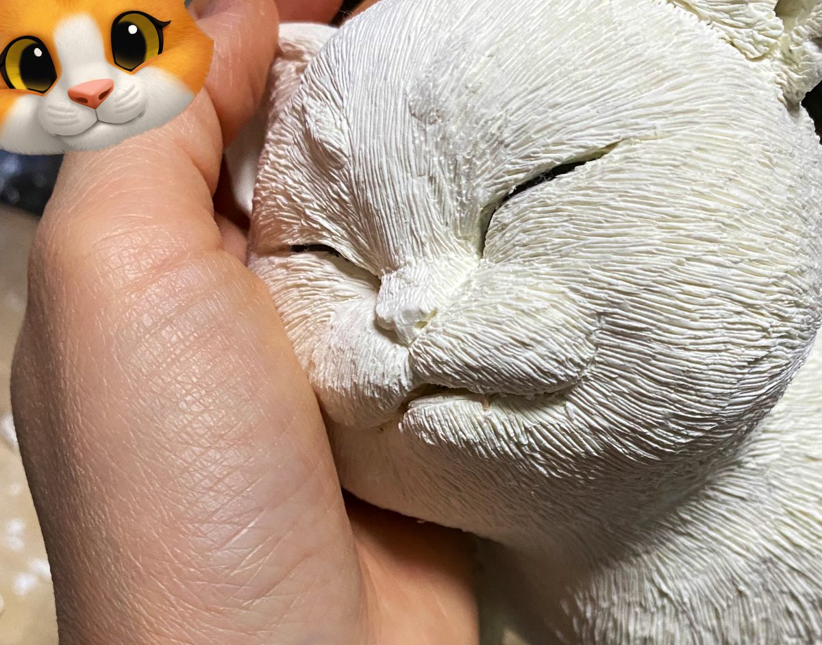 幸せそうなお顔の猫ちゃんになった😊