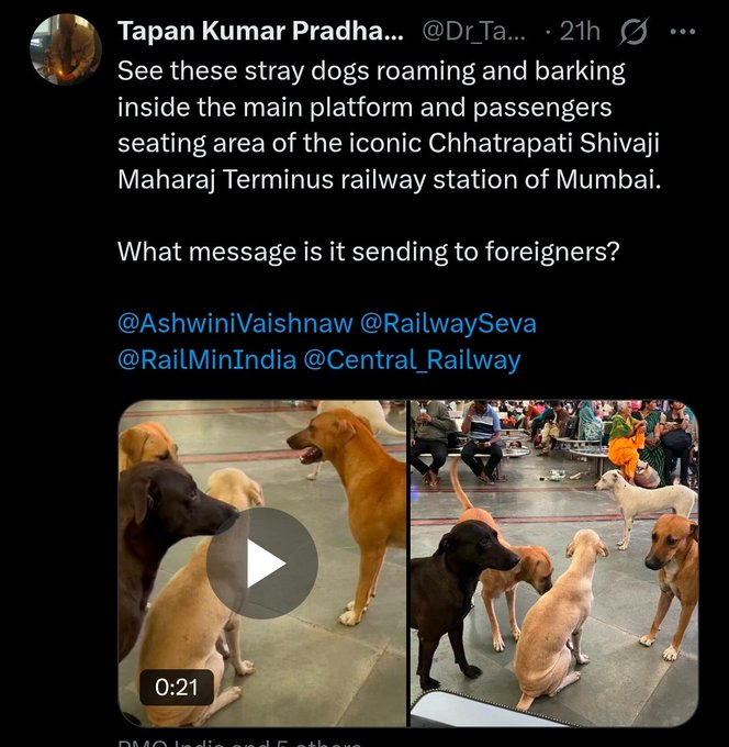 DOG HATERS AND <a href="/indSupremeCourt/">Supreme Court of India</a> ARE WORRIED ABOUT WHAT FOREIGNERS WOULD THINK ABOUT STRAY DOGS ROAMING FREELY IN INDIA!!

WELL, HERE IS WHAT THEY THINK AND  NOW IT’S TIME FOR BOTH OF YOU TO FEEL ASHAMED!

Denmark’s badminton star Mia Blichfeldt reportedly chose to pay a ₹45 lakh