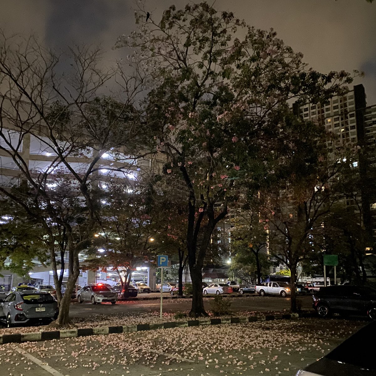 เจต tweet media