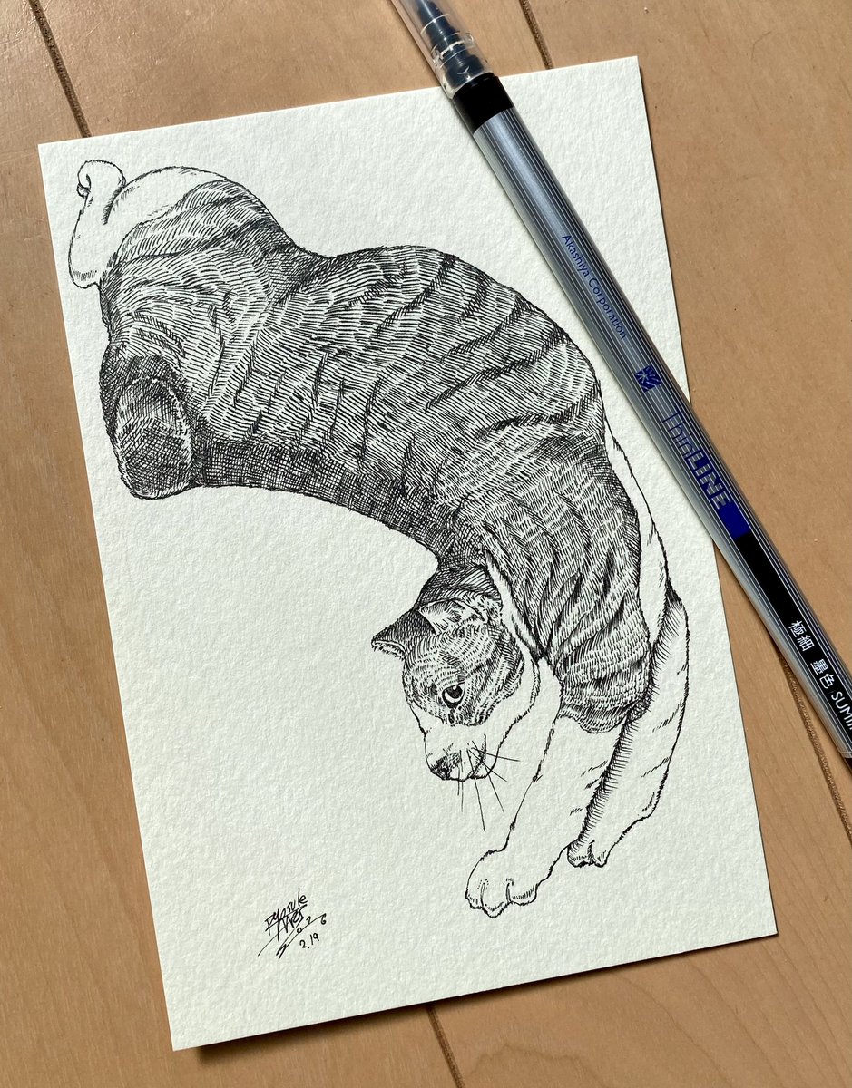 ネコドロ✒︎
