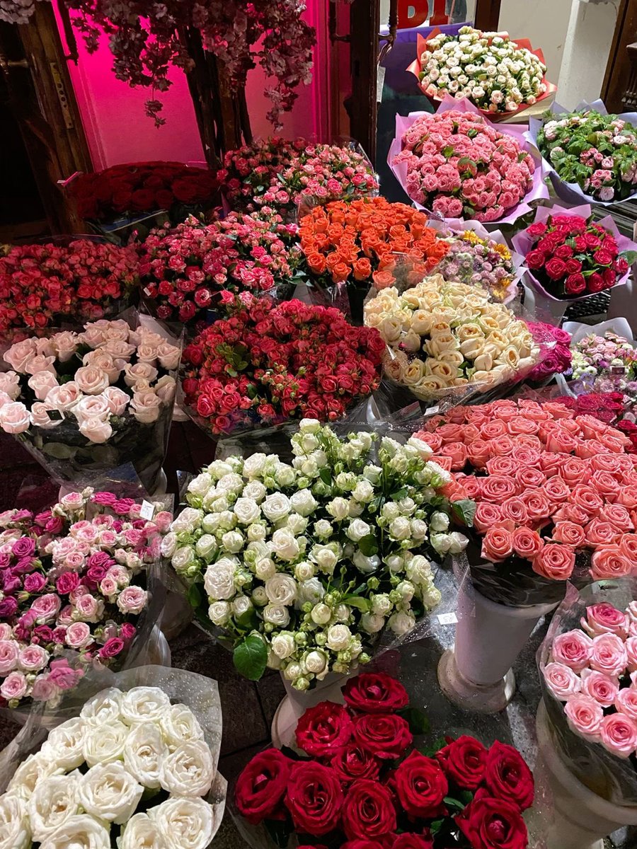 phollukidukaan's tweet image. 