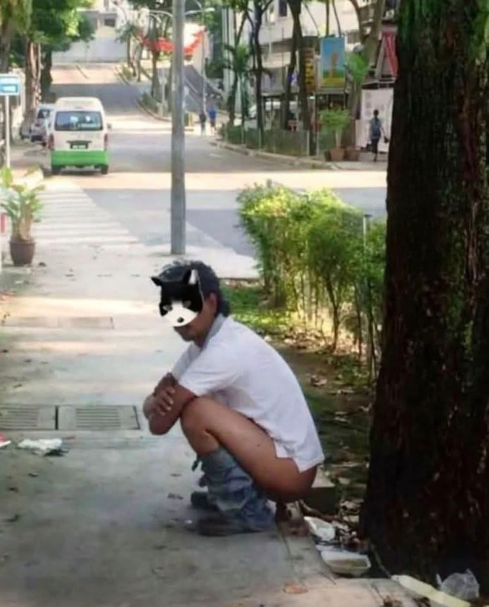 Yo fingiendo ser therian porque no alcancé a llegar