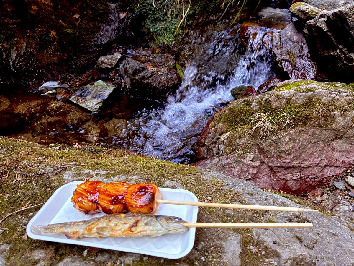 ハチワレキャンプ△ tweet media