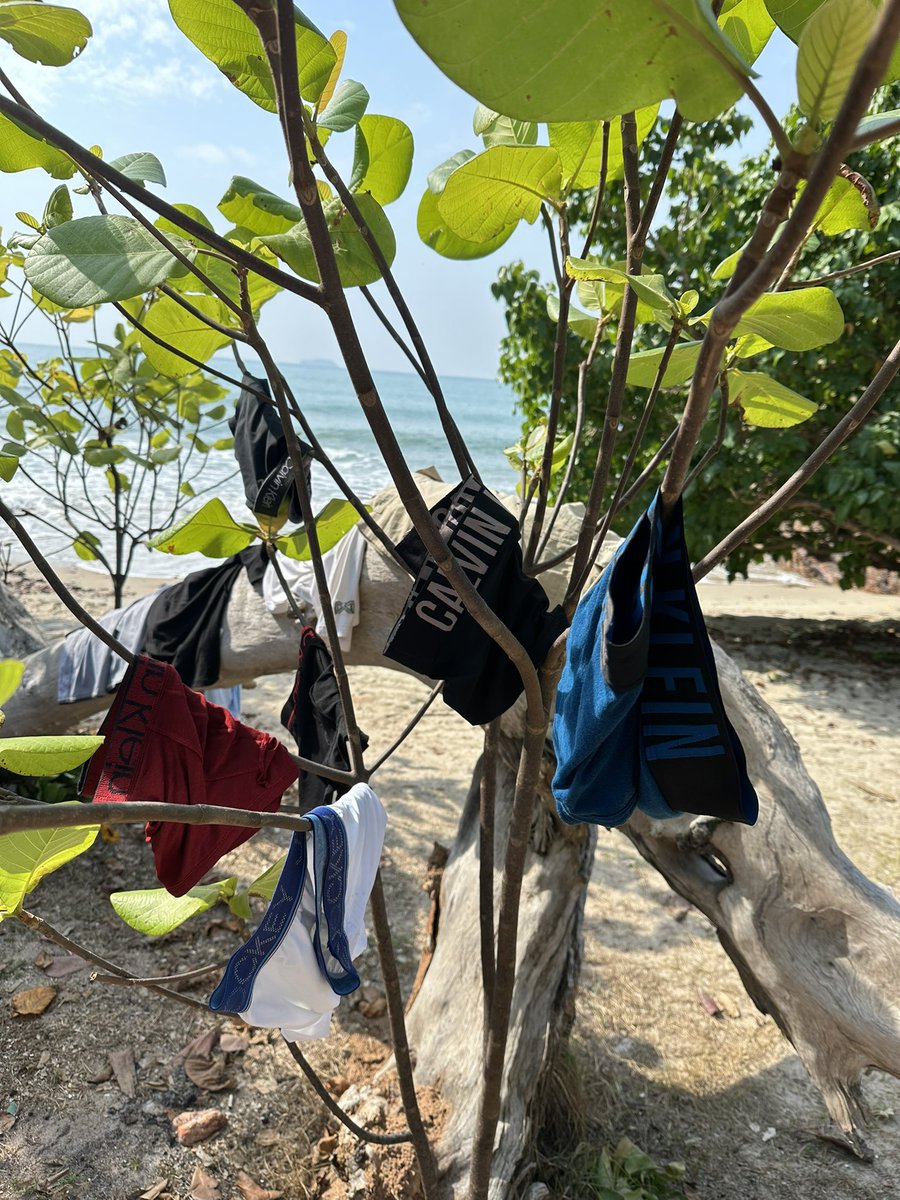 หนวด 🏕️🍺🏕️ tweet media