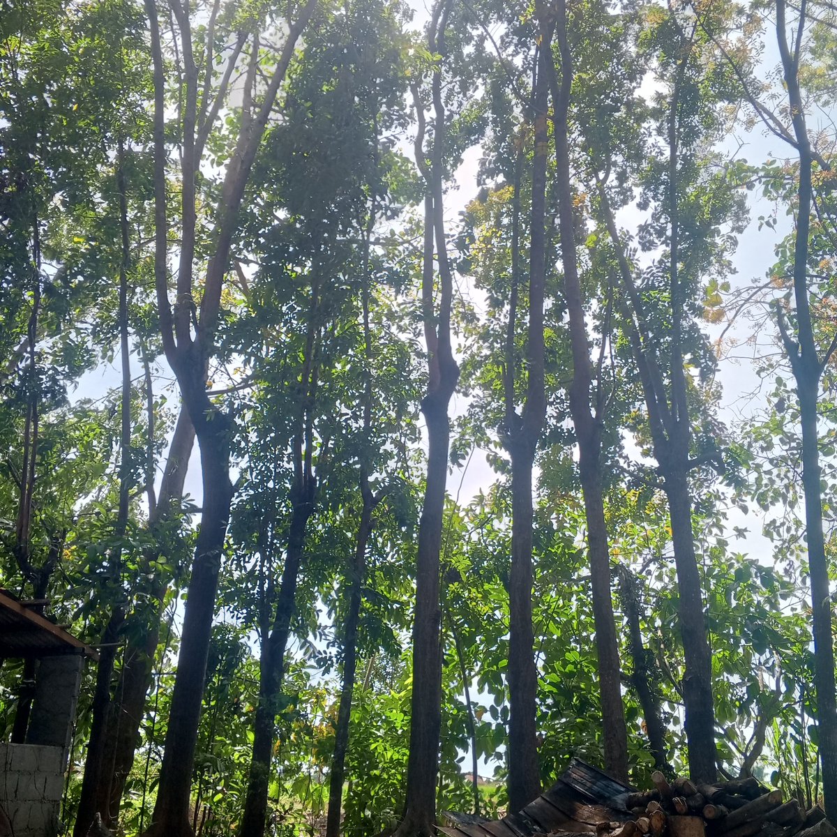 Jabol nalang ata ako. Bago umuwe ah ahmm 🤔