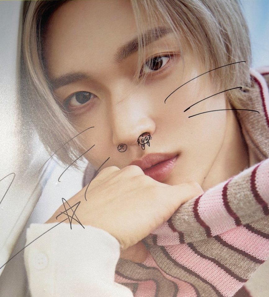 원빈아  콧구멍에그렷다고는안햇잔아요