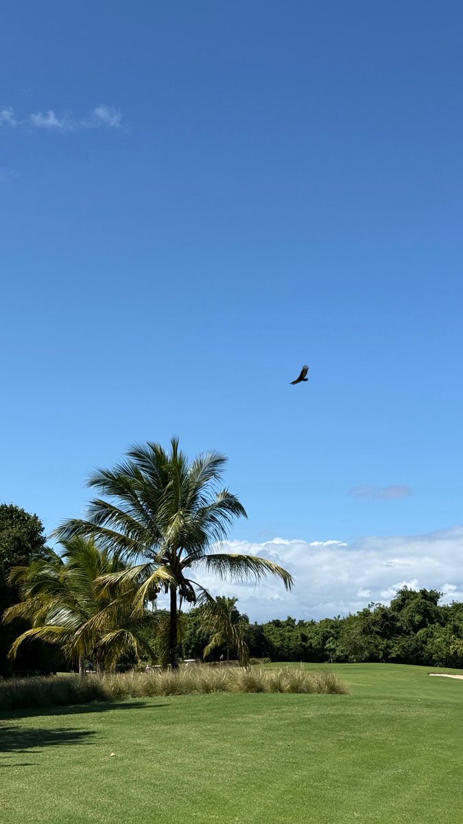 daniel4 🎯 tweet media