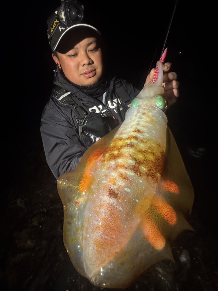 yu_fishing tweet media