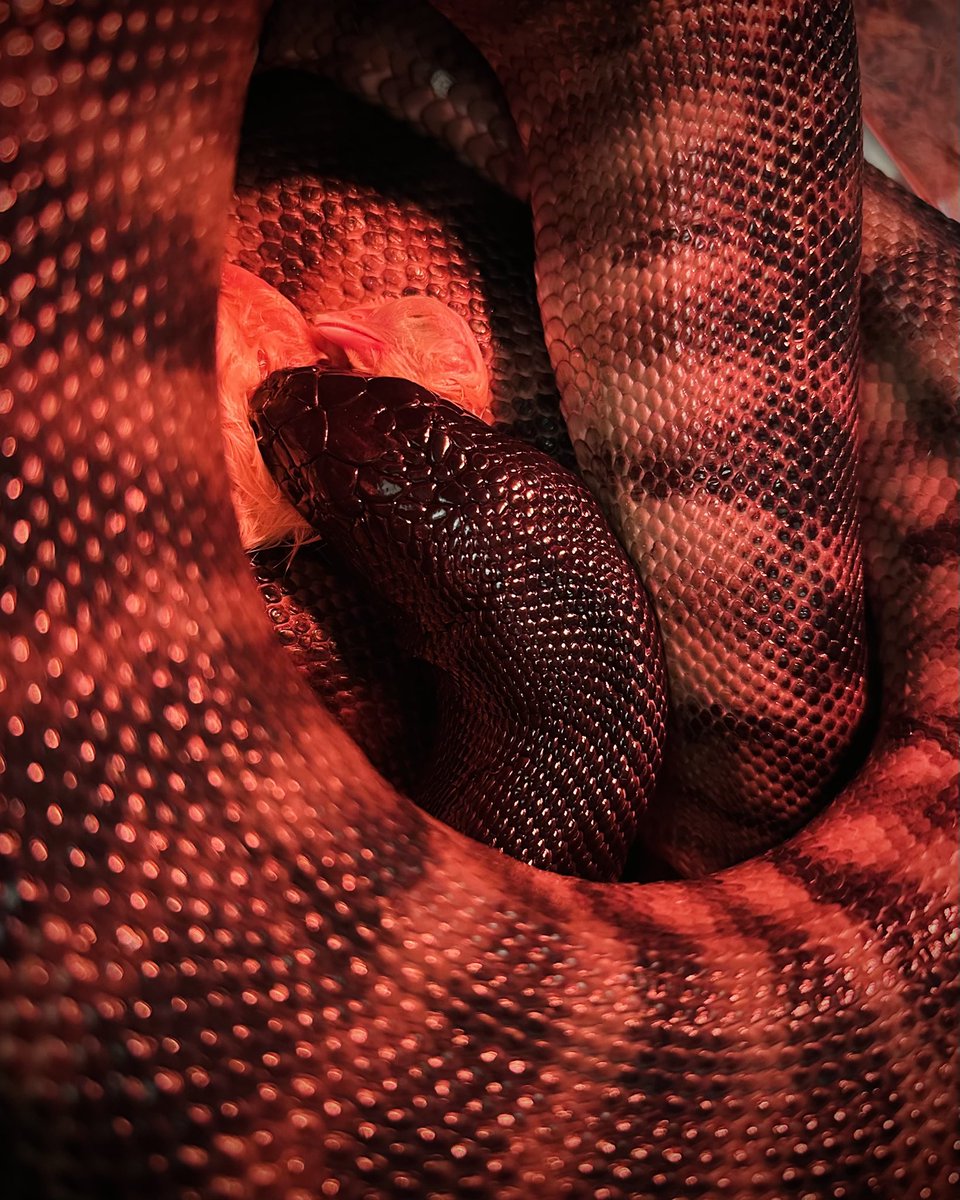 𝒖’𝒍𝒍 tweet media