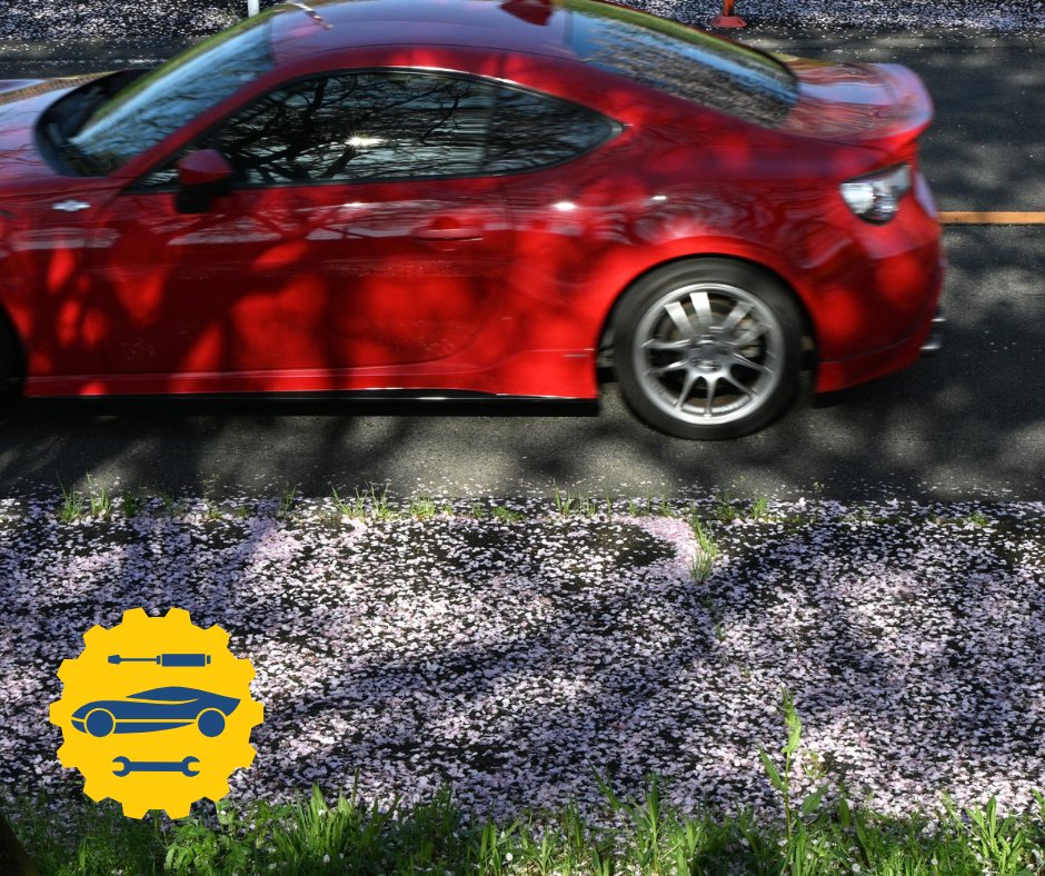 mikesautosvcab's tweet image. It may be just February, but it’s not too early to prep your car for spring driving!
📞 Book your tune-up with Mike’s Auto Service today. #MikesAutoServiceCalgary #CarMaintenance #CarDiagnostics #WheelAndTireServices #CarInspections #CarRepair #VehicleRepair #VehicleMaintenance