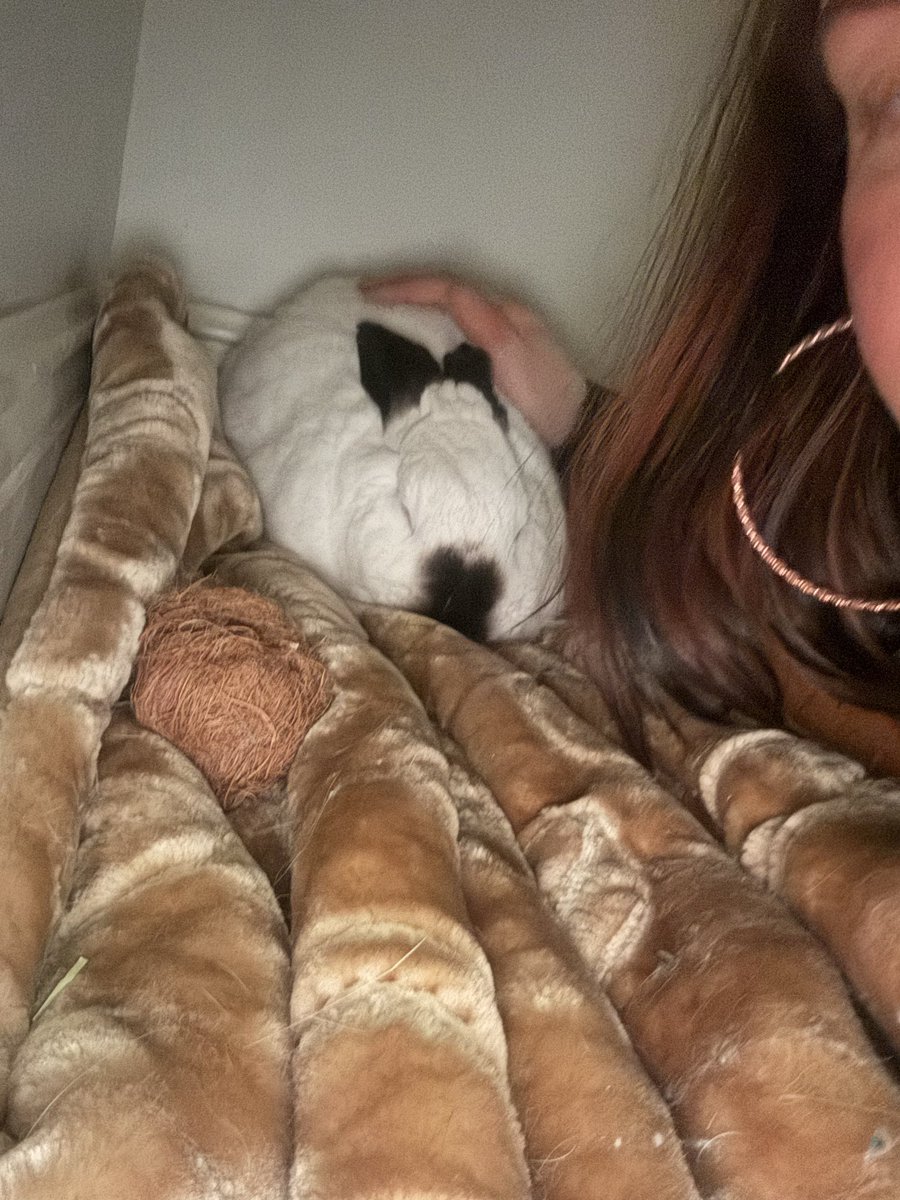 CaitlinRitchie6's tweet photo. My baby boy Flame 🩷🩷🩷🩷🩷 https://t.co/ygCOpvx1fj