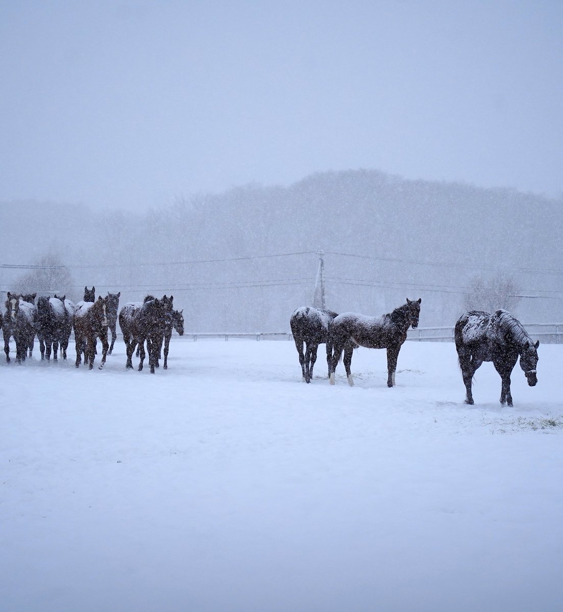 いきなり降り始めた雪のなか、帰ろうとするまめちん先生と、ついていく生徒たち💨