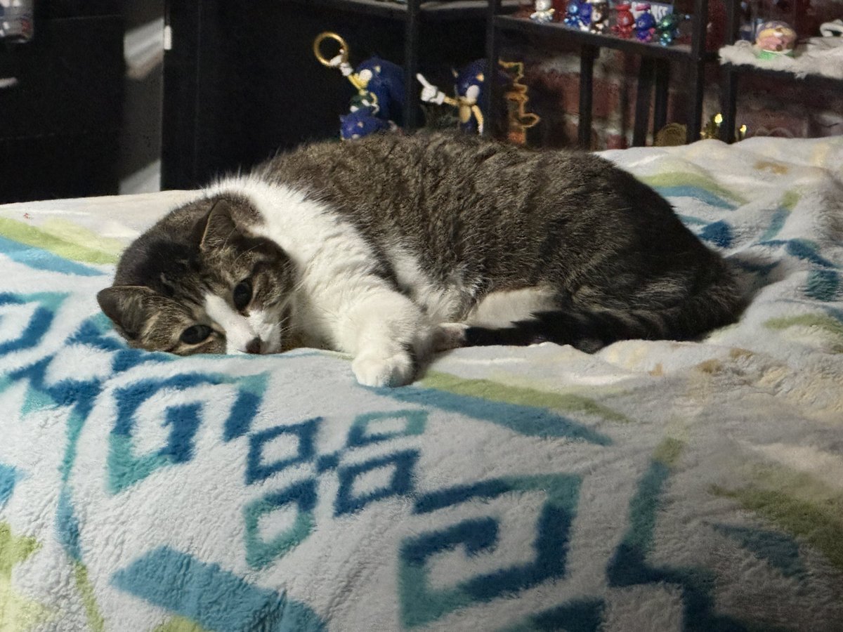 herothekitty's tweet photo. goodnight 💤 https://t.co/qToiOAu6G4