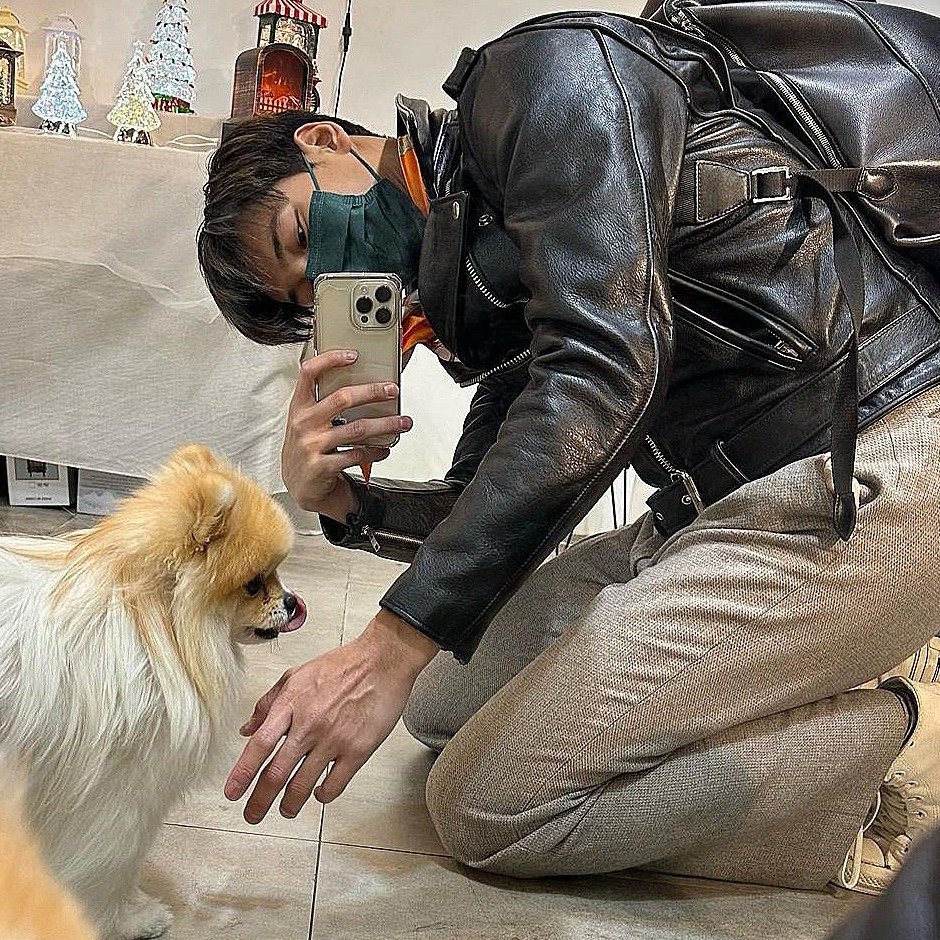apopresent's tweet photo. kitty and dog 🐱🐶⭐️⚡️✨ https://t.co/F1m7EFgauP