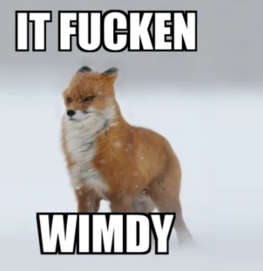 Kip in da snow
#originalcharacterart #memes