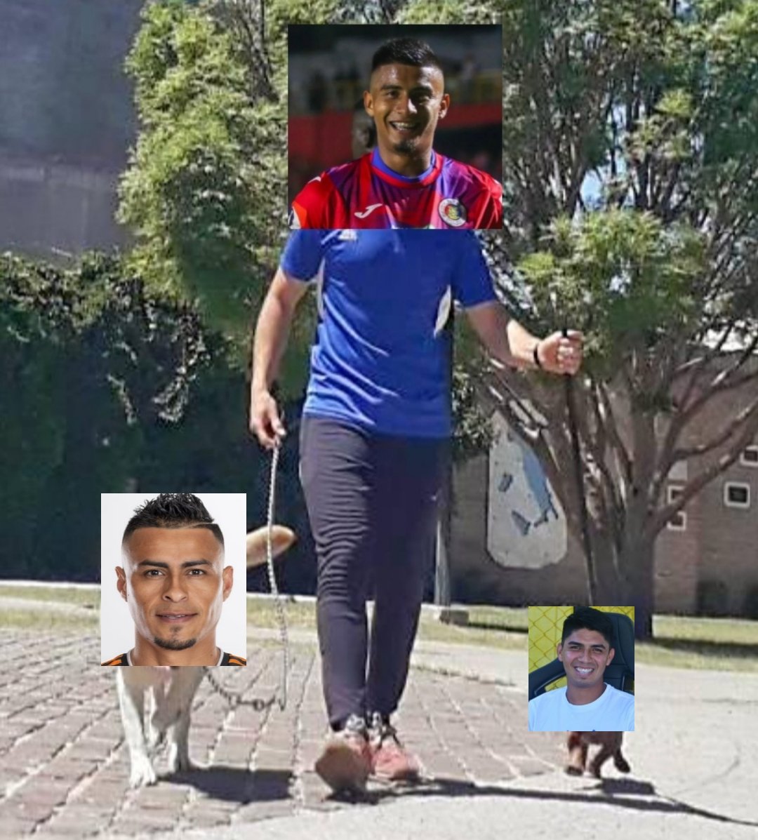 David Caneda me volvió xenofobo tweet media