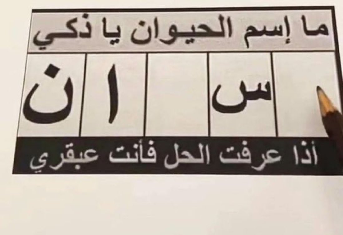 قورجس tweet media
