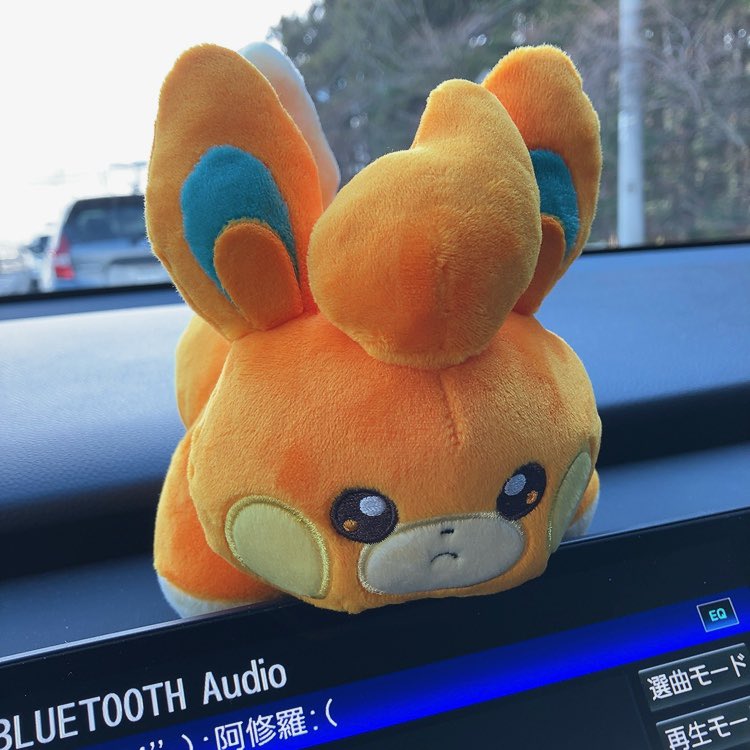 我が家に1番最初に来たムッちゃんも、お店の外から目が合ってお迎えした子🫶🍊