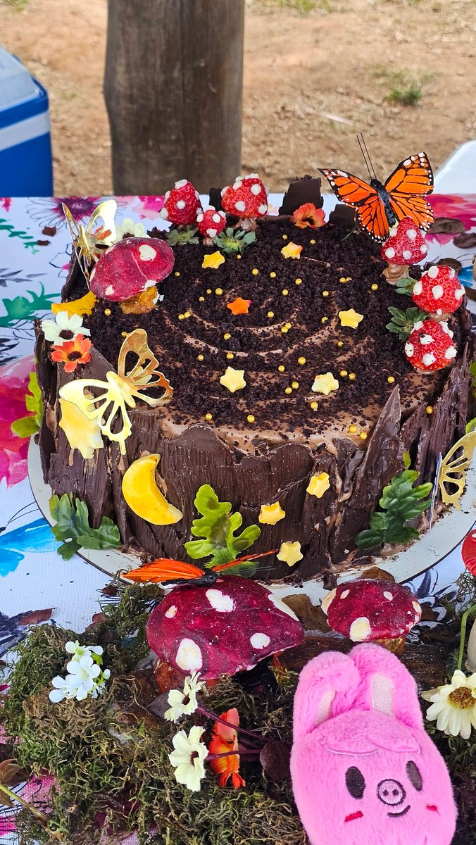 diskloey's tweet image. não ironicamente queria ser confeiteira...