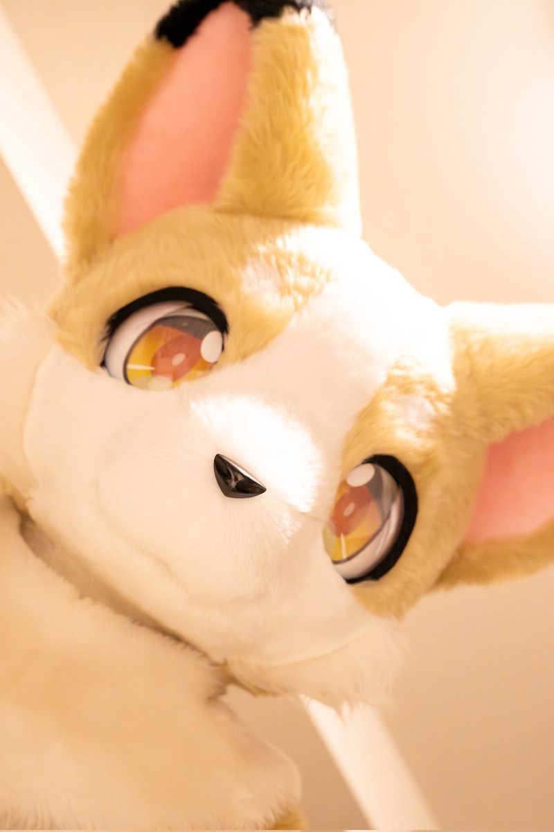 #皆さんのマズル見せてください