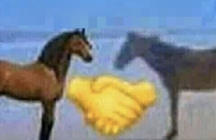 El Discípulo tweet media