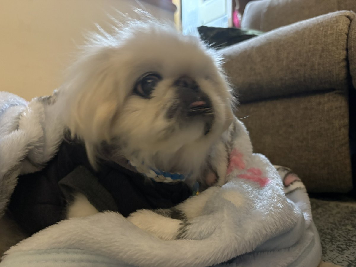 喪失🥲別れを思い出すのは
まだ　愛があるからと思うと
泣いても　いいんだよね
去年の2月19日