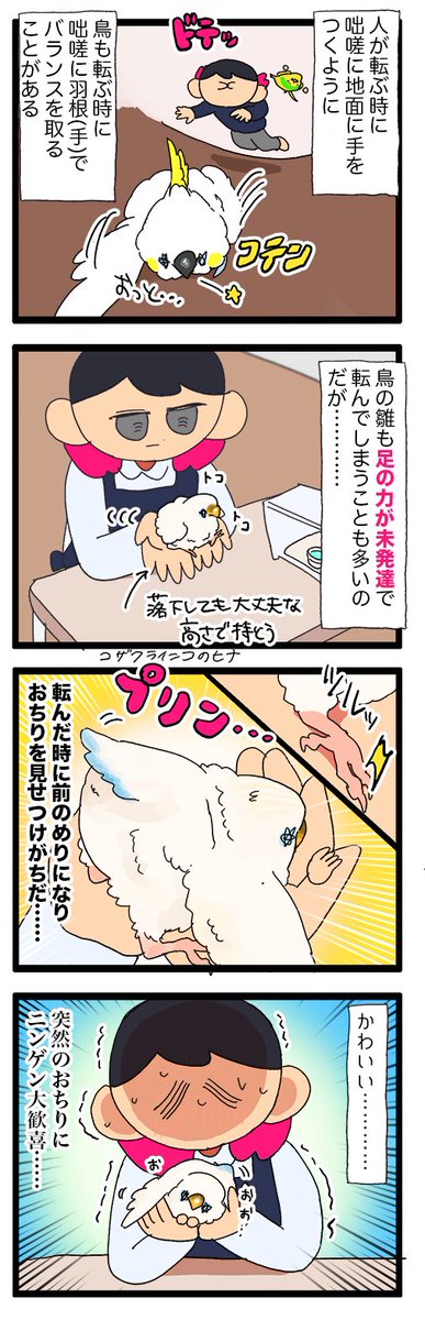 ころころ転がる雛ちゃんのおちりに想いを馳せ……☺️🍑

2258  #えるポピの絵日記かくところ 