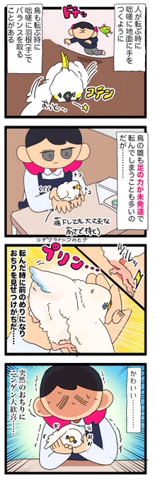ころころ転がる雛ちゃんのおちりに想いを馳せ……☺️🍑

2258  #えるポピの絵日記かくところ 