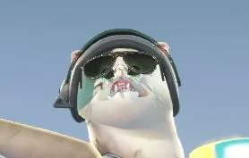 バグって人間キャラのビクトリーポーズをキメてしまったネコ

📷️:RadiantNemesis