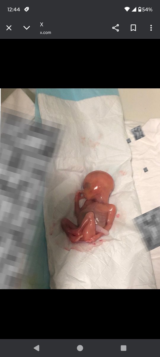 Todd Clark tweet media