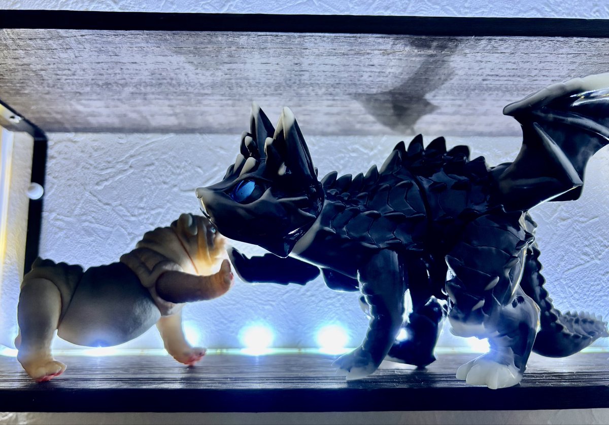 バケタンブログさん @cherri_cherri のドラゴニット希少種届きました