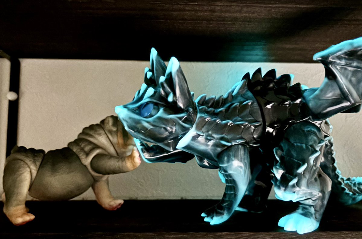 バケタンブログさん @cherri_cherri のドラゴニット希少種届きました