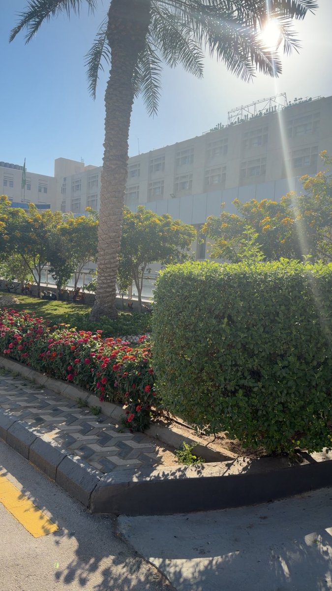 Mohammed Alsaleh tweet media