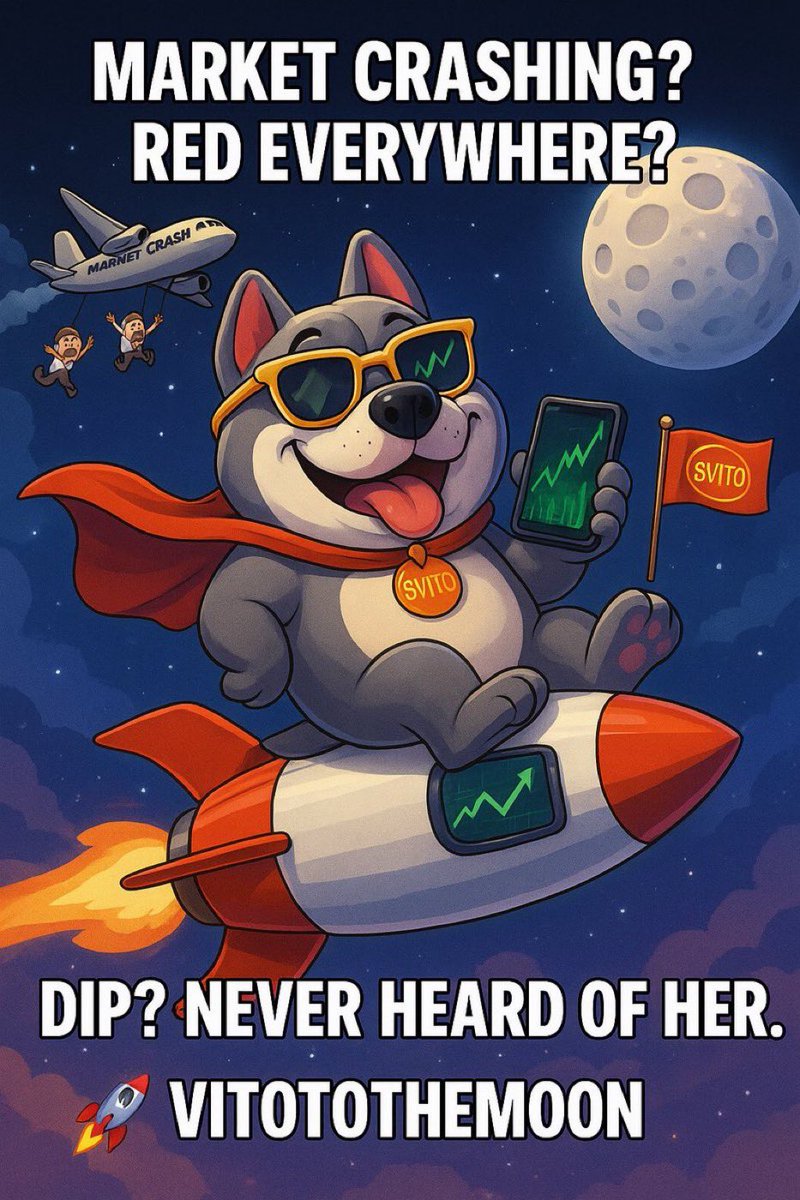 The Vito Collective tweet media