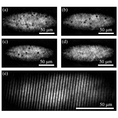 Physical Review A tweet media
