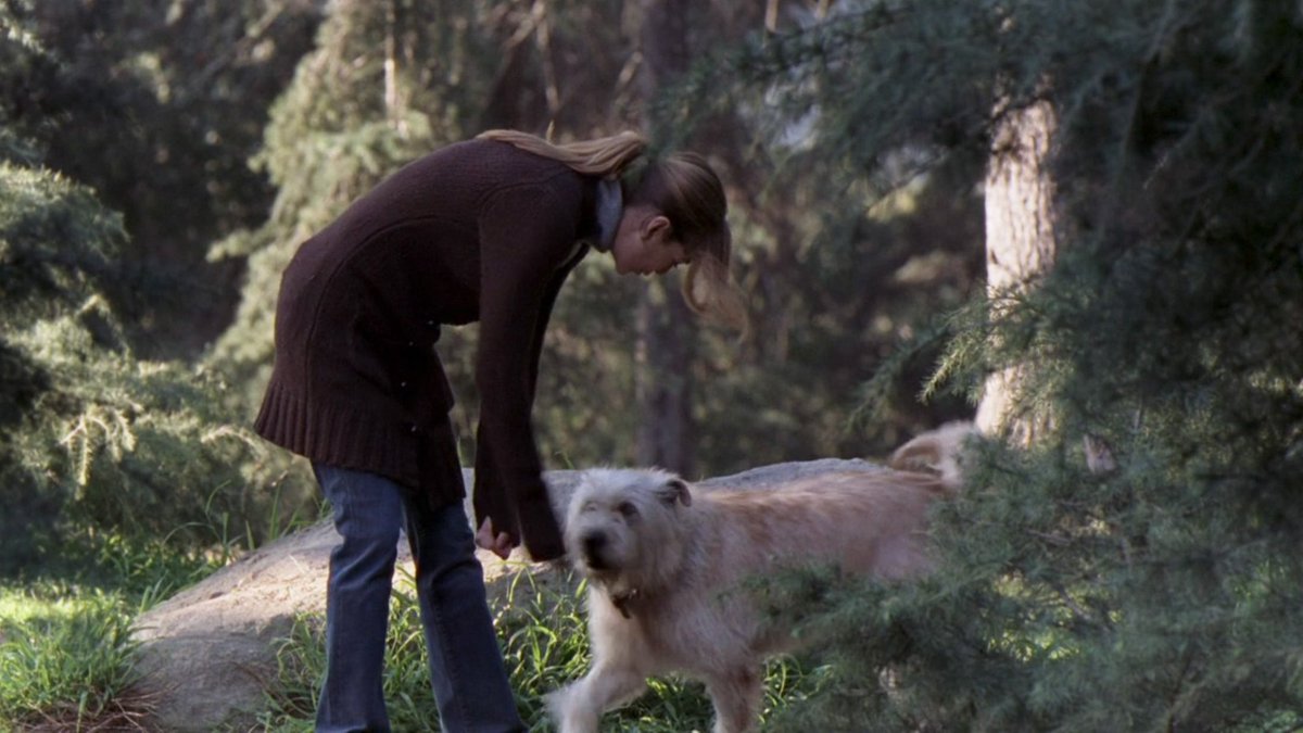 merder's post-it 🩵 tweet media