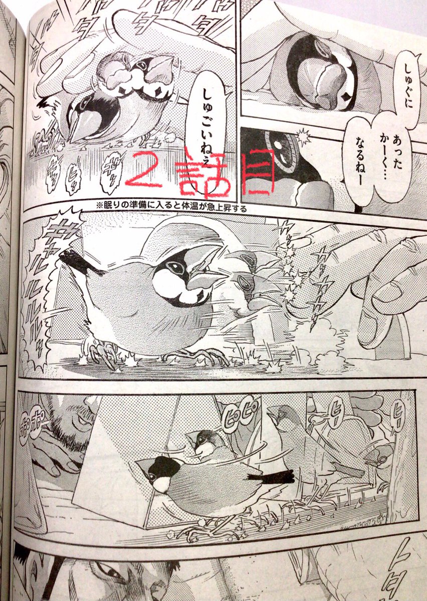 『ピとポとまちながら』練習の絵から自分が日々見てる「モンたんの動き」を漫画に落とし込みたくて試行錯誤。
1話目の耳噛み、2話目の指攻撃より未掲載3話目指攻撃の方がより「柔らかく」動けてる!ってことが嬉しいし幸せ〜!