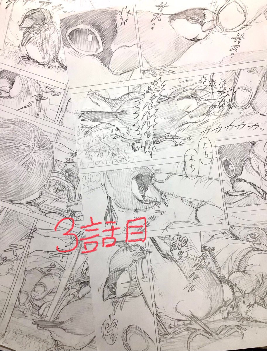 『ピとポとまちながら』練習の絵から自分が日々見てる「モンたんの動き」を漫画に落とし込みたくて試行錯誤。
1話目の耳噛み、2話目の指攻撃より未掲載3話目指攻撃の方がより「柔らかく」動けてる!ってことが嬉しいし幸せ〜!