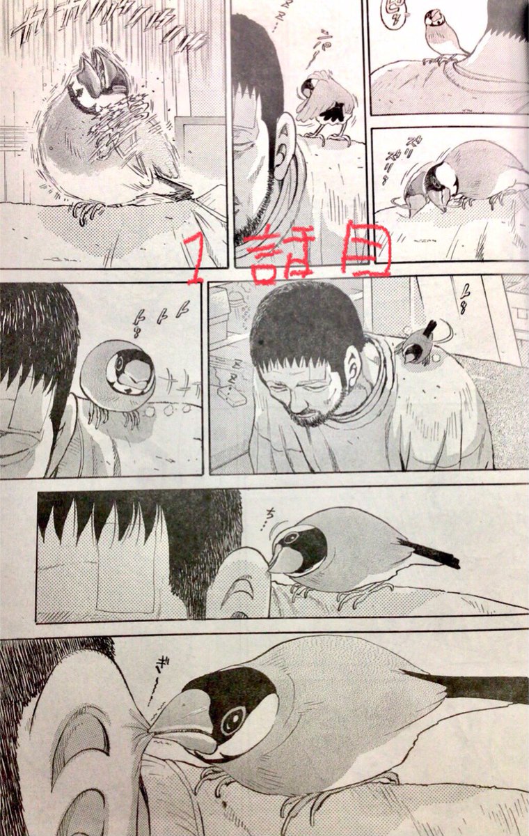 新井英樹 Hideki Arai 『ピとポとまちながら』1月9日(金)発売の