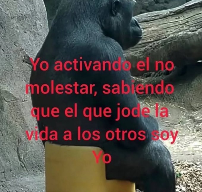 En Júpiter (@en_jupiter_) on Twitter photo 