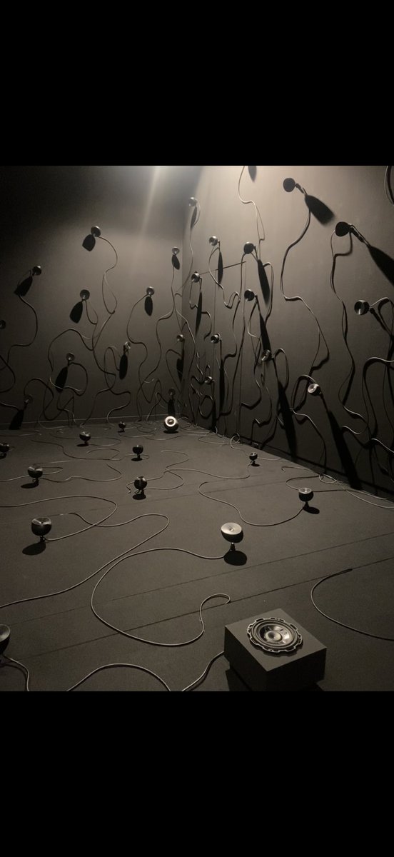 Bruce Ikeda tweet media