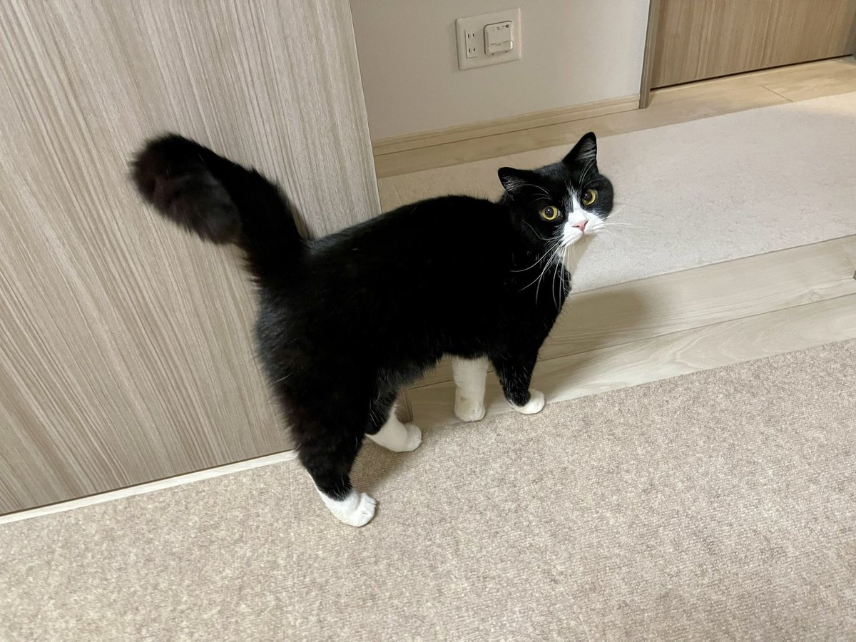 たろう (@taro20216) / Posts / X