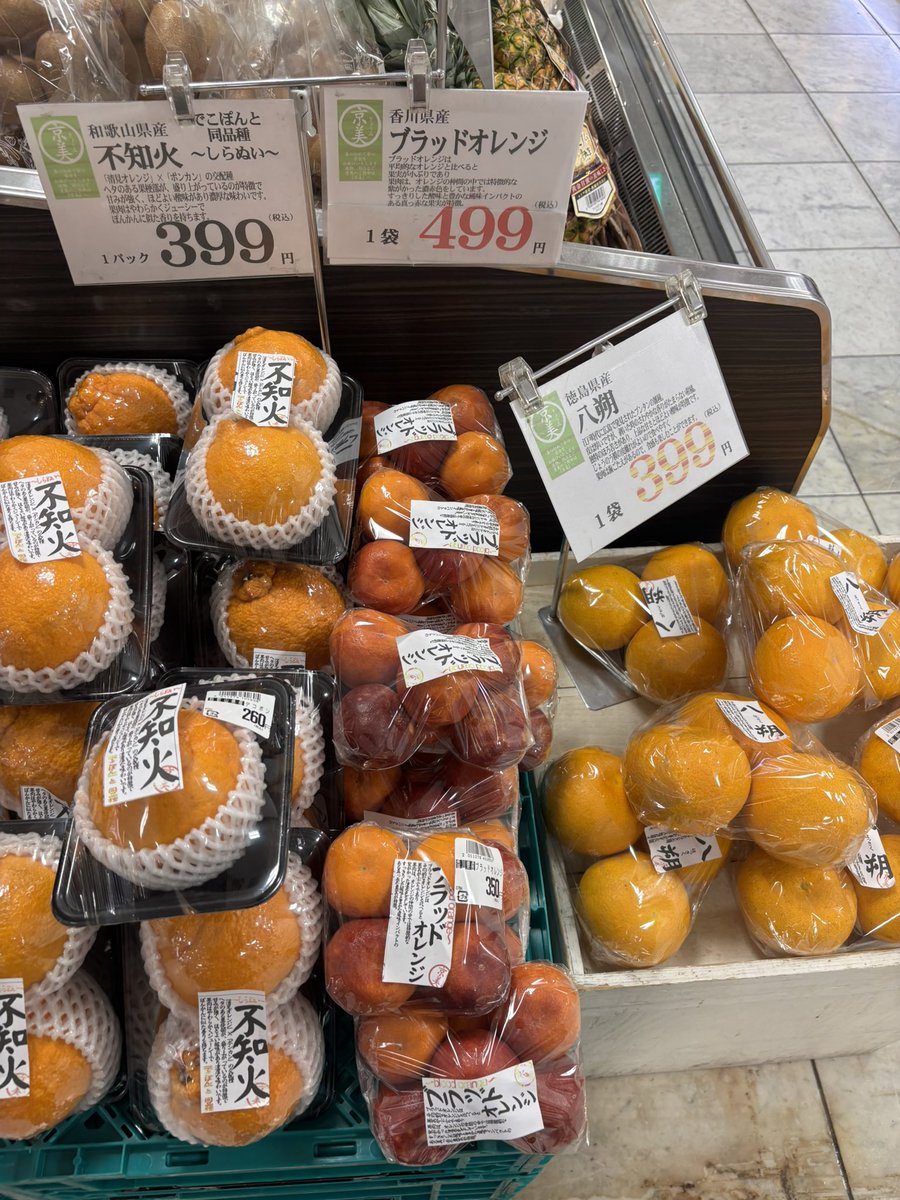 香川県産のブラットオレンジを発見ましたが 少し前に話題になった