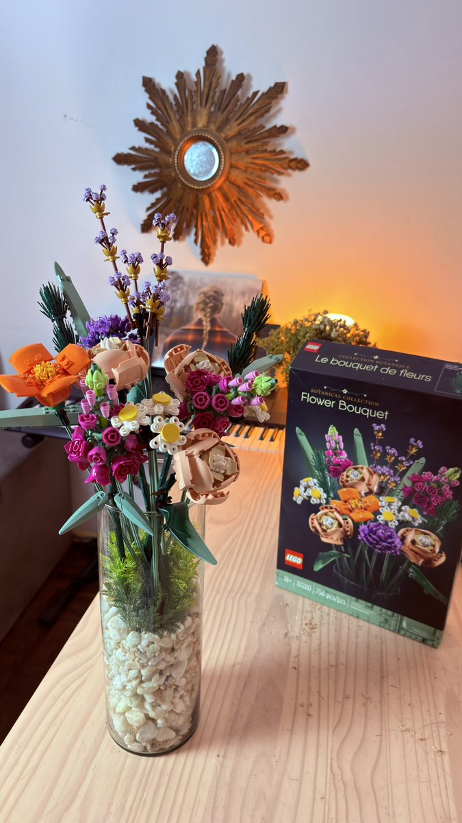 Isadora Basile tweet media