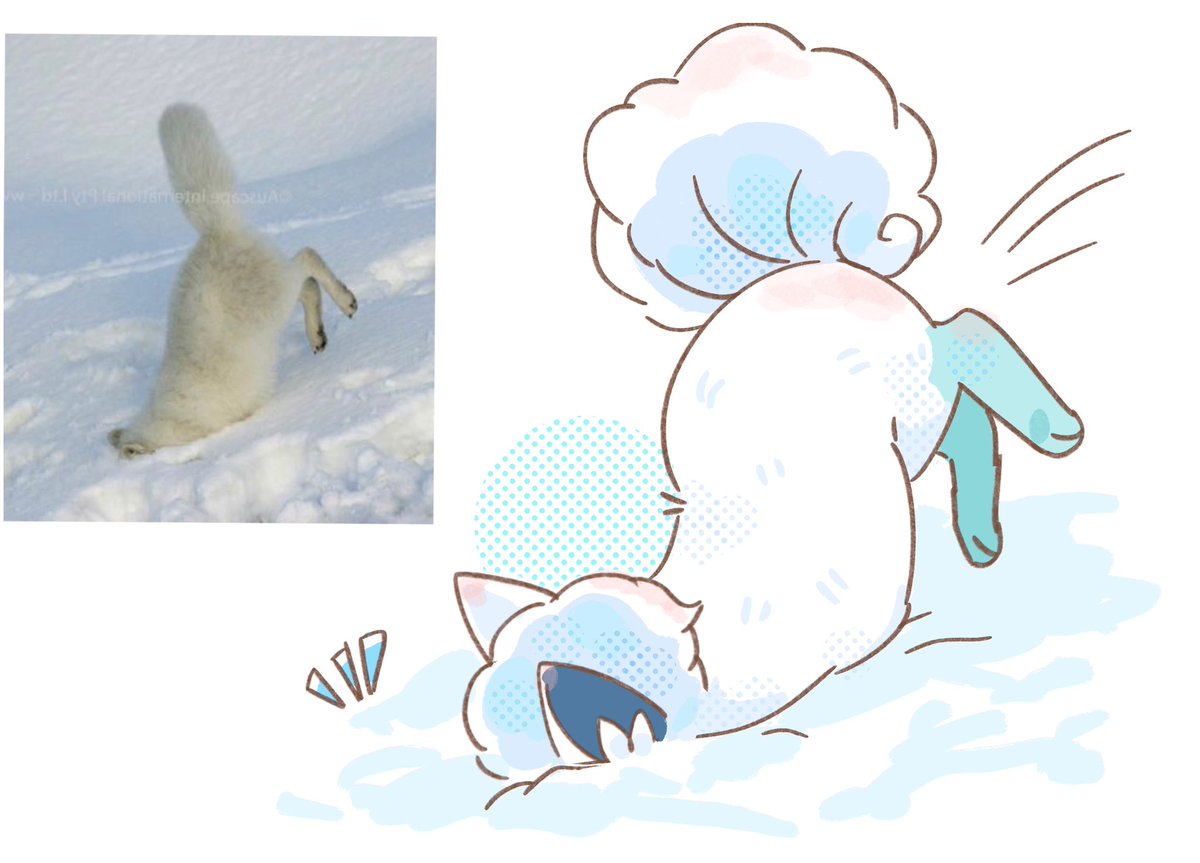 세타 セタ (@seta629211) on Twitter photo 